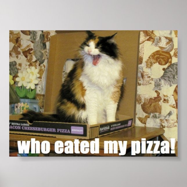 who eated my pizza? Funny Cat Meme Poster (Front)