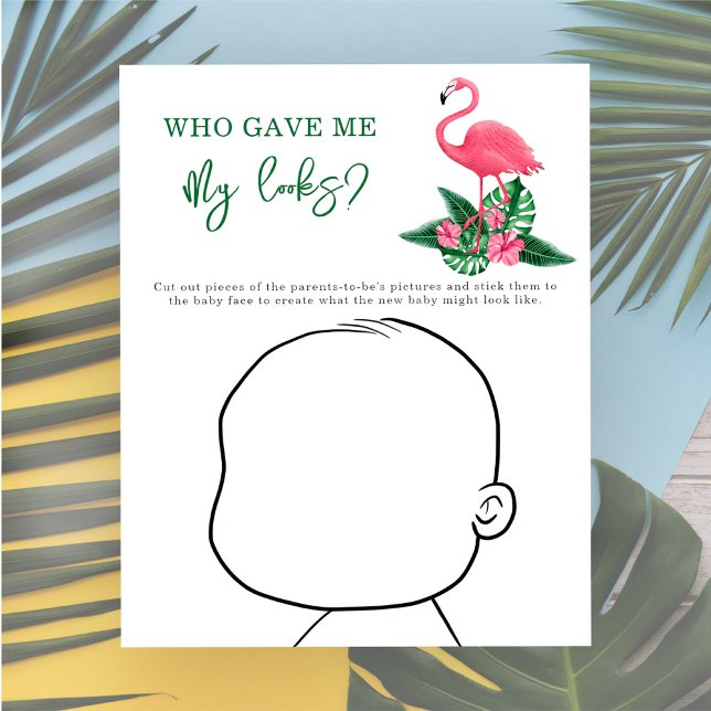 Who gave me My looks? - Pink Flamingo (Creator Uploaded)