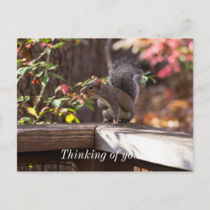 Who Goes There Thinking Of You Postcard