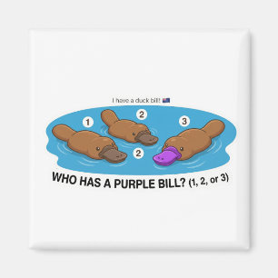 Who Has A Purple Bill? Cute Platypus Australia Gam Magnet