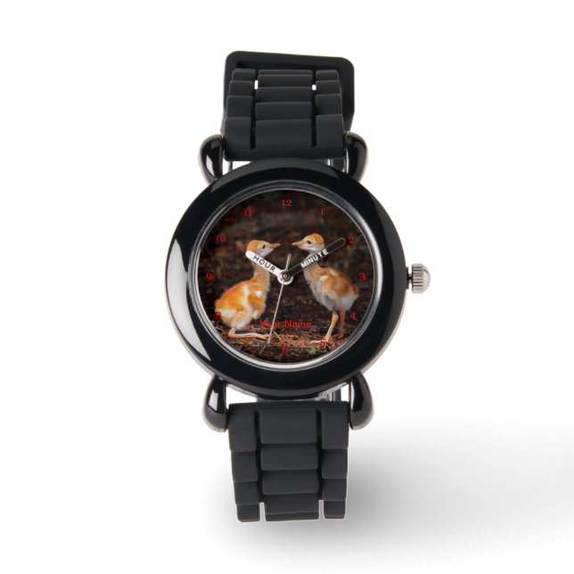 Who is bigger? Sandhill crane chicks Watch (Front)