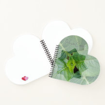 "Who is the Creator?"