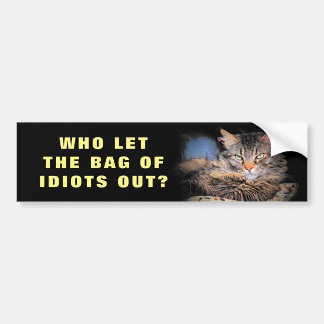 Who Let the Bag of Idiots Out? CAT Meme Bumper Sticker (Front)
