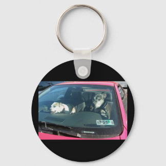 Who let the dogs out? Keychain