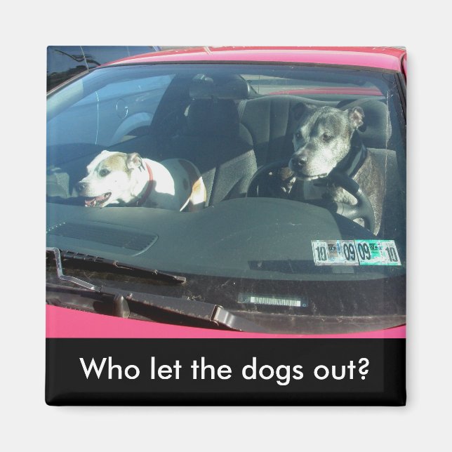 Who let the dogs out? Magnet (Front)