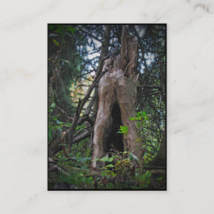 Who lives here? ATC Business Card