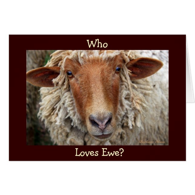 Who Loves Ewe? I wooly do: Valentine's Day (Front Horizontal)