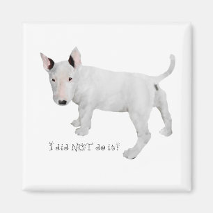 Who, me?  Bull Terrier Puppy Magnet