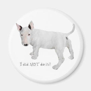 Who, me?  Bull Terrier Puppy Magnet