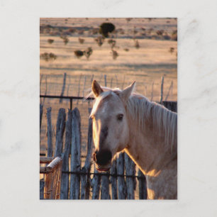 Who Me? Postcard