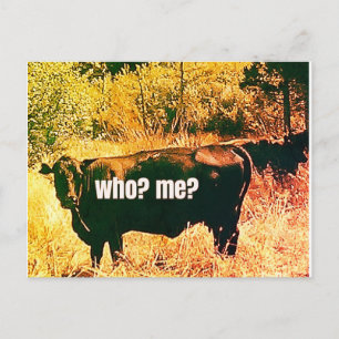 Who? Me? Postcard