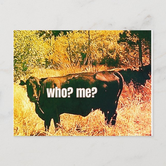 Who? Me? Postcard (Front)