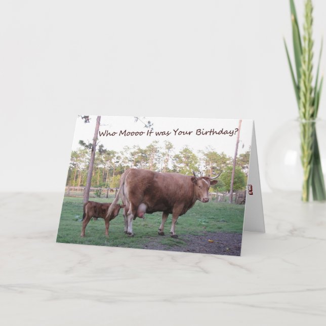 Who Mooo It was Your Birthday? Cow Birthday Card (Front)