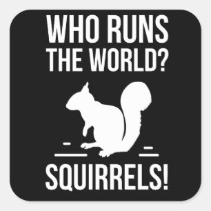 Who Runs The World? Squirrel Square Sticker