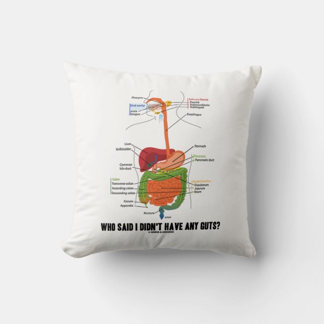Who Said I Didn't Have Any Guts? Digestive System Cushion (Front)