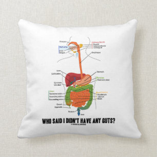 Who Said I Didn't Have Any Guts? Digestive System Cushion