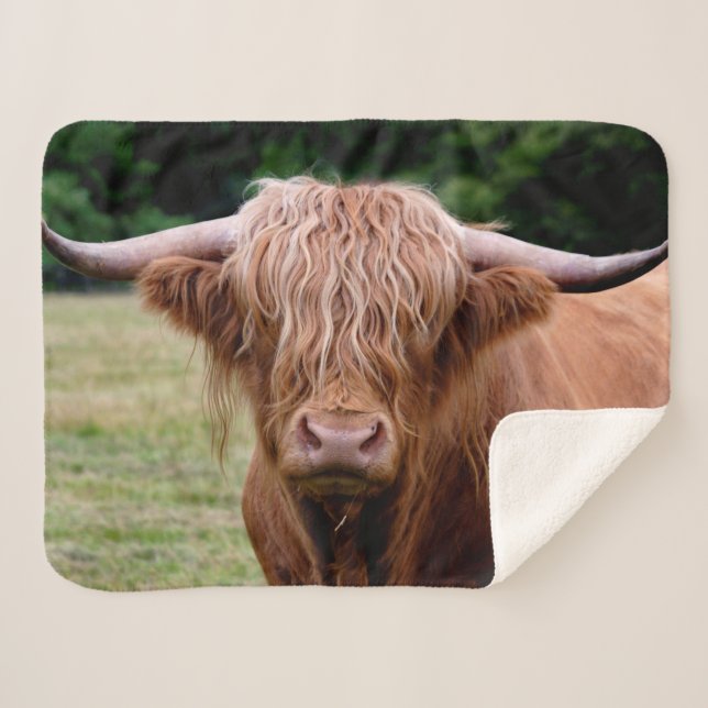 Who Turned The Lights Out Sherpa Blanket (Front (Horizontal))