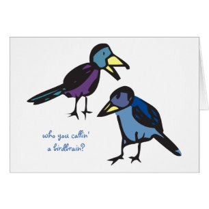 who you callin' a birdbrain?