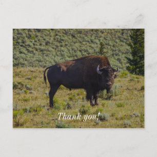 Who You Looking At Postcard
