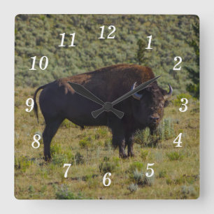 Who You Looking At Wall Clock