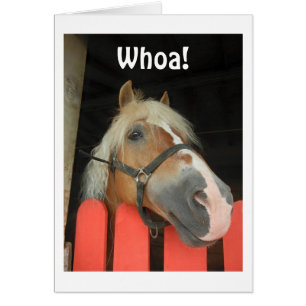 'WHOA SAY THE HORSE' HEADING FOR THE BIG "50"