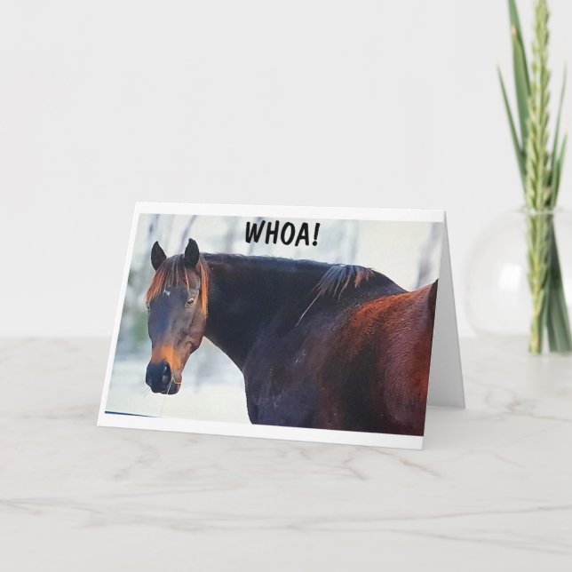 WHOA SAYS THIS COOL HORSE & *CONGRATULATIONS TOO* CARD (Front)