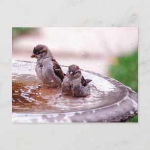 Whoa, this kid is wild! postcard