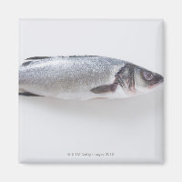 Whole branzini fish