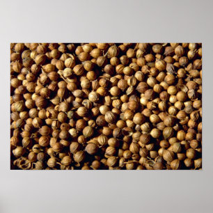 Whole coriander seeds poster