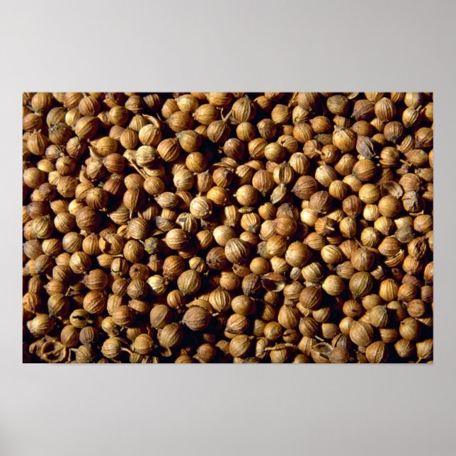 Whole coriander seeds poster (Front)