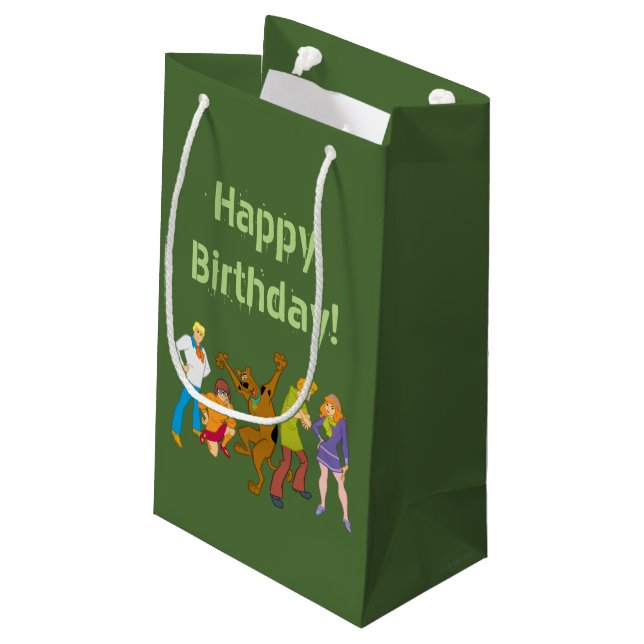 Whole Gang 16 Mystery Inc Small Gift Bag (Back Angled)