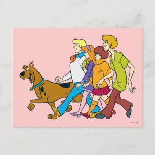 Whole Gang 18 Mystery Inc Postcard