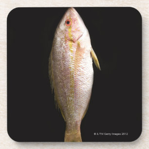 Whole Sea Bass Coaster