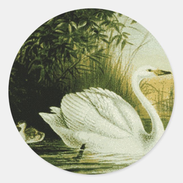 Whooper Swan Sticker (Front)