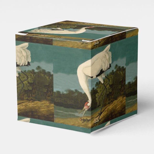 Whooping Crane Audubon Bird Painting Favour Box (Front Side)