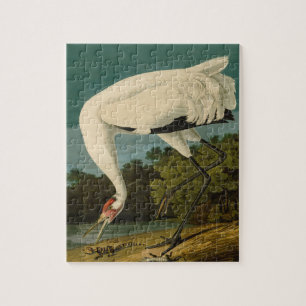 Whooping Crane Audubon Bird Painting Jigsaw Puzzle