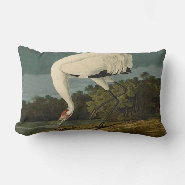 Whooping Crane Audubon Bird Painting Lumbar Cushion (Front)