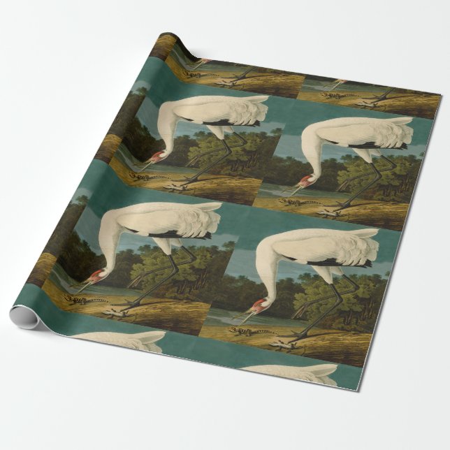 Whooping Crane Audubon Bird Painting Wrapping Paper (Unrolled)