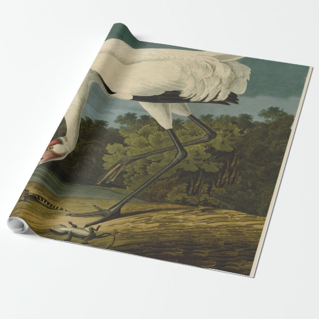 Whooping Crane Audubon Bird Painting Wrapping Paper (Unrolled)