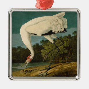 Whooping Crane Audubon Bird Print Metal Ornament