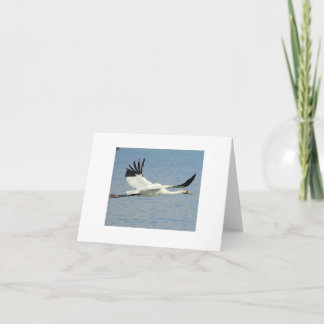 Whooping Crane Card