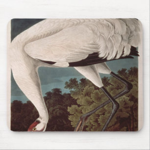 Whooping Crane, from 'Birds of America' Mouse Pad