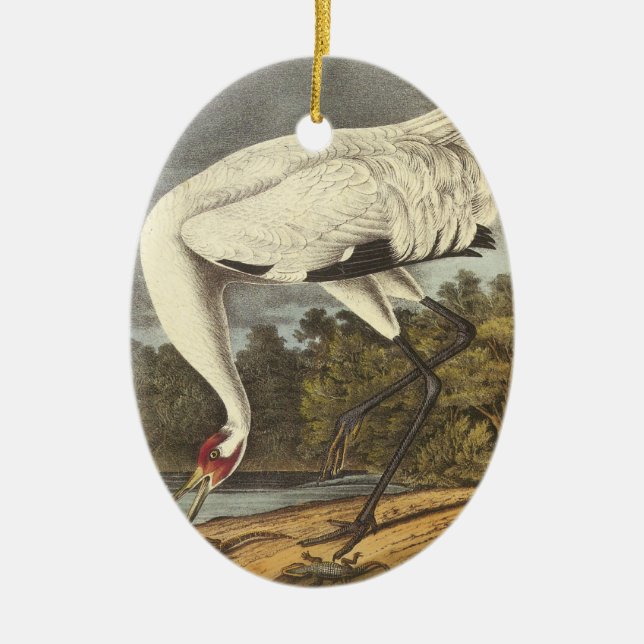 Whooping Crane, John Audubon Ceramic Tree Decoration (Front)