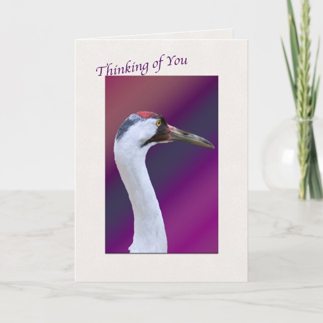 Whooping Crane Thinking of You Greeting Card (Front)