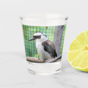 Who're calling a Kook Shot Glass