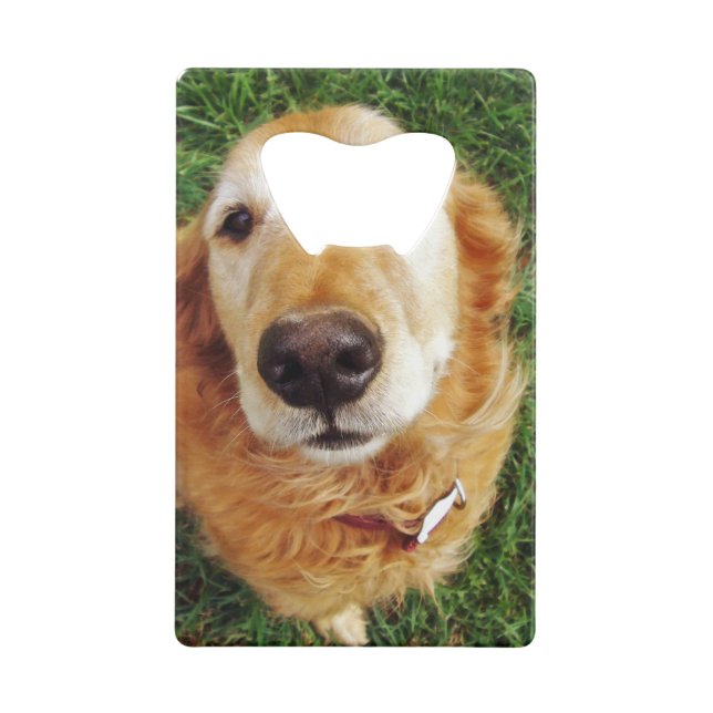 Who's a Good Boy (Back)
