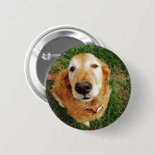 Who's a Good Boy 6 Cm Round Badge