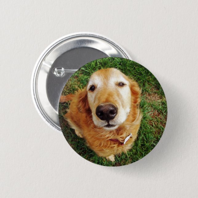 Who's a Good Boy 6 Cm Round Badge (Front & Back)