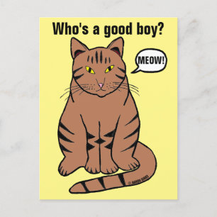 Who's a Good Boy? Funny Brown Tabby Cat Postcard