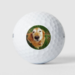 Who's a Good Boy Golf Balls